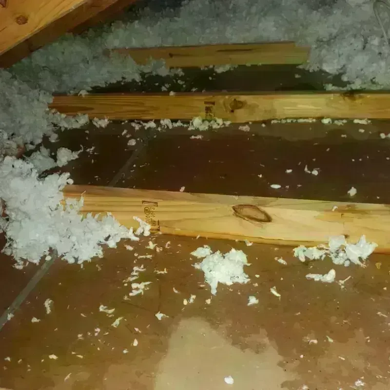 Attic Water Damage in Sidney, ME