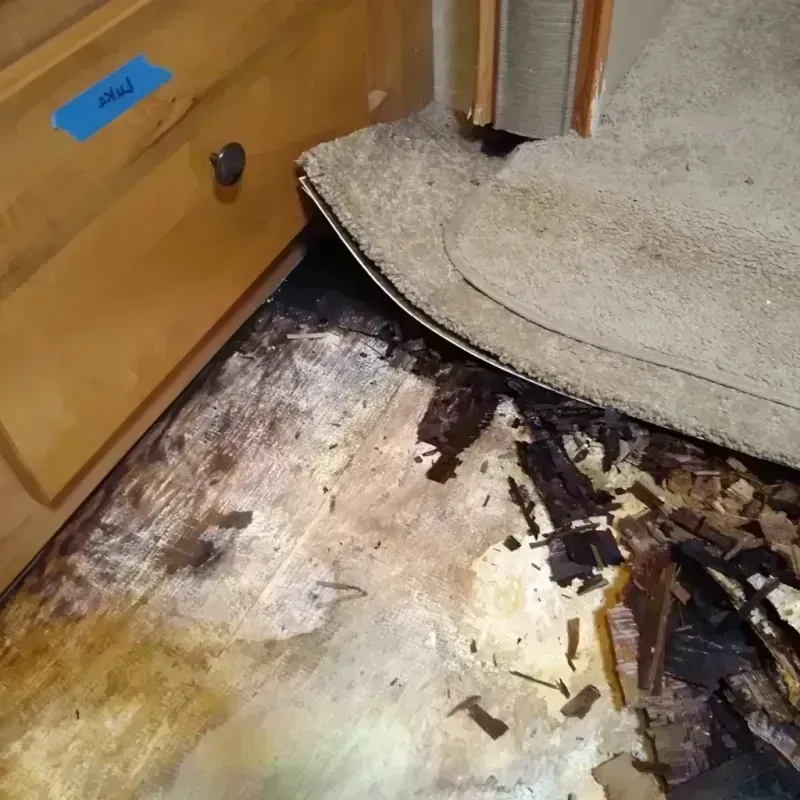 Wood Floor Water Damage in Sidney, ME